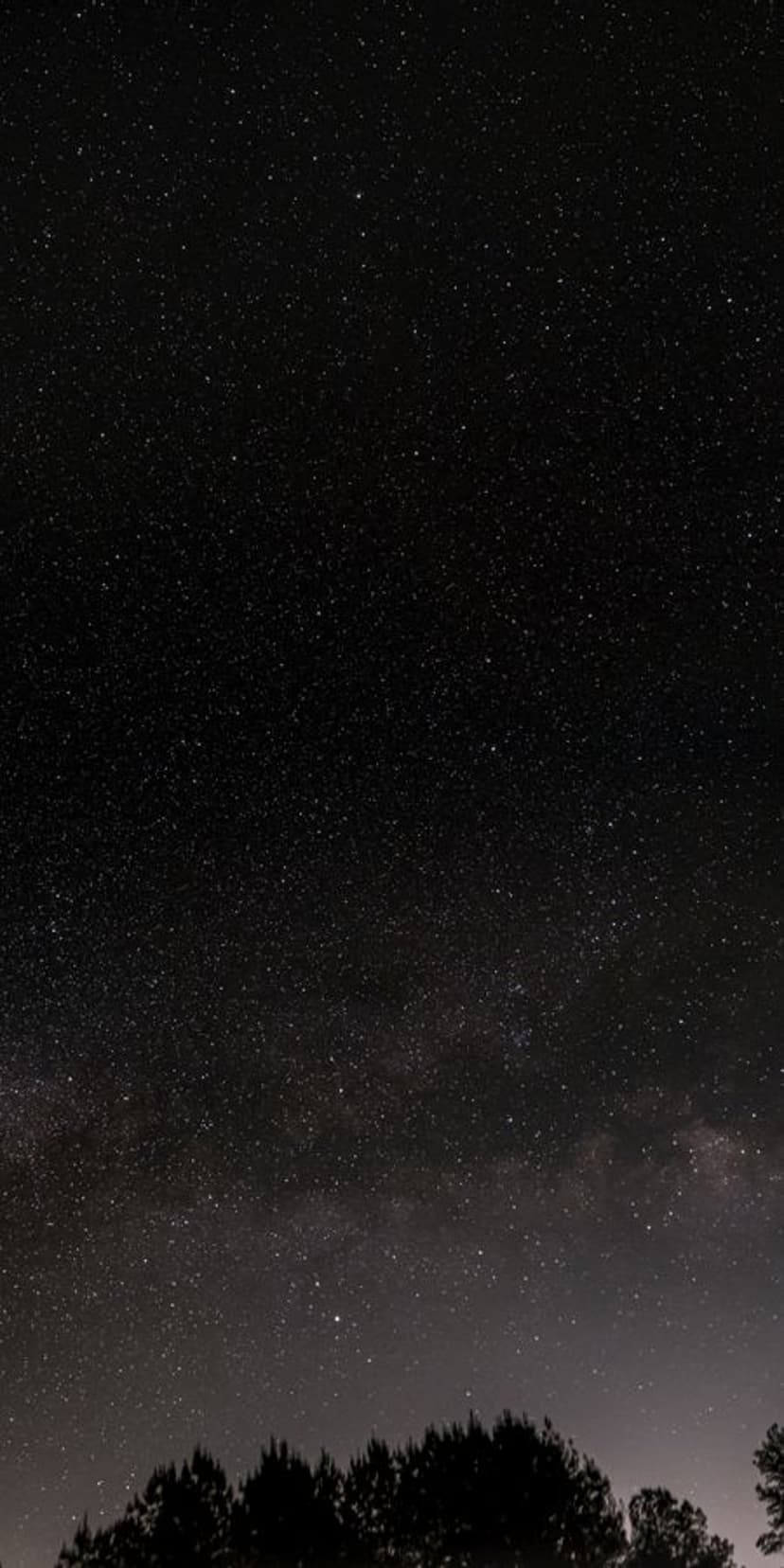 Starry night sky and Milky Way galaxy glowing above the dark silhouettes of pine trees in a dense forest.