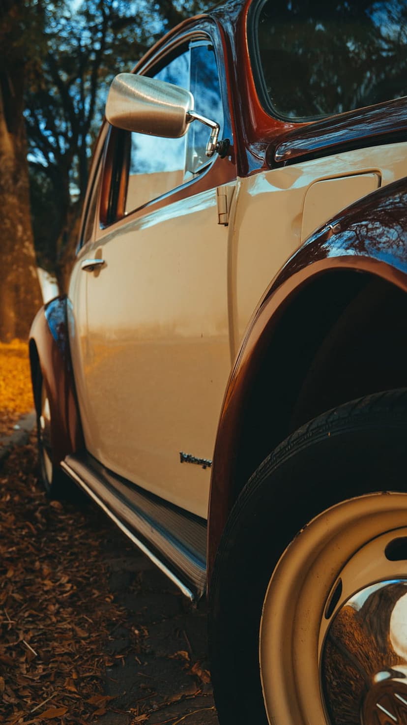 Cream and maroon Volkswagen Beetle side mirror and wheel over a ground covered in brown autumn leaves.