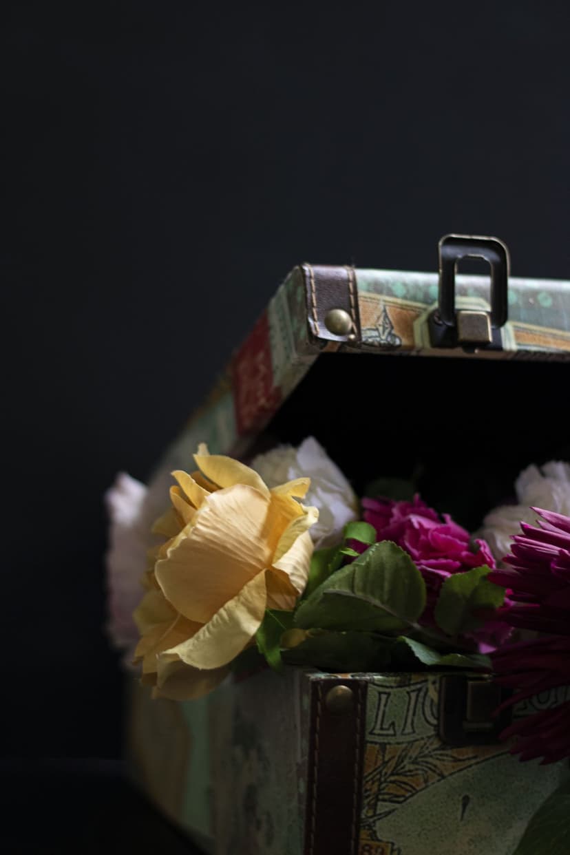 Antique suitcase overflowing with pink, yellow, and magenta roses against a dark, moody background.