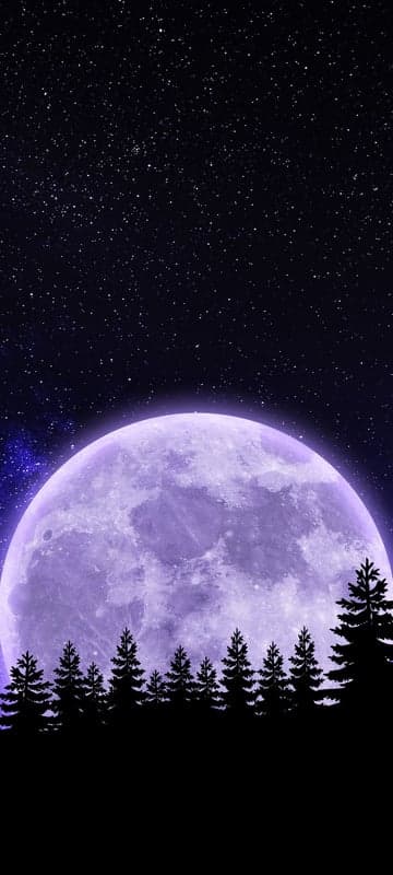 Purple Moonlit Forest Night Sky Wallpaper