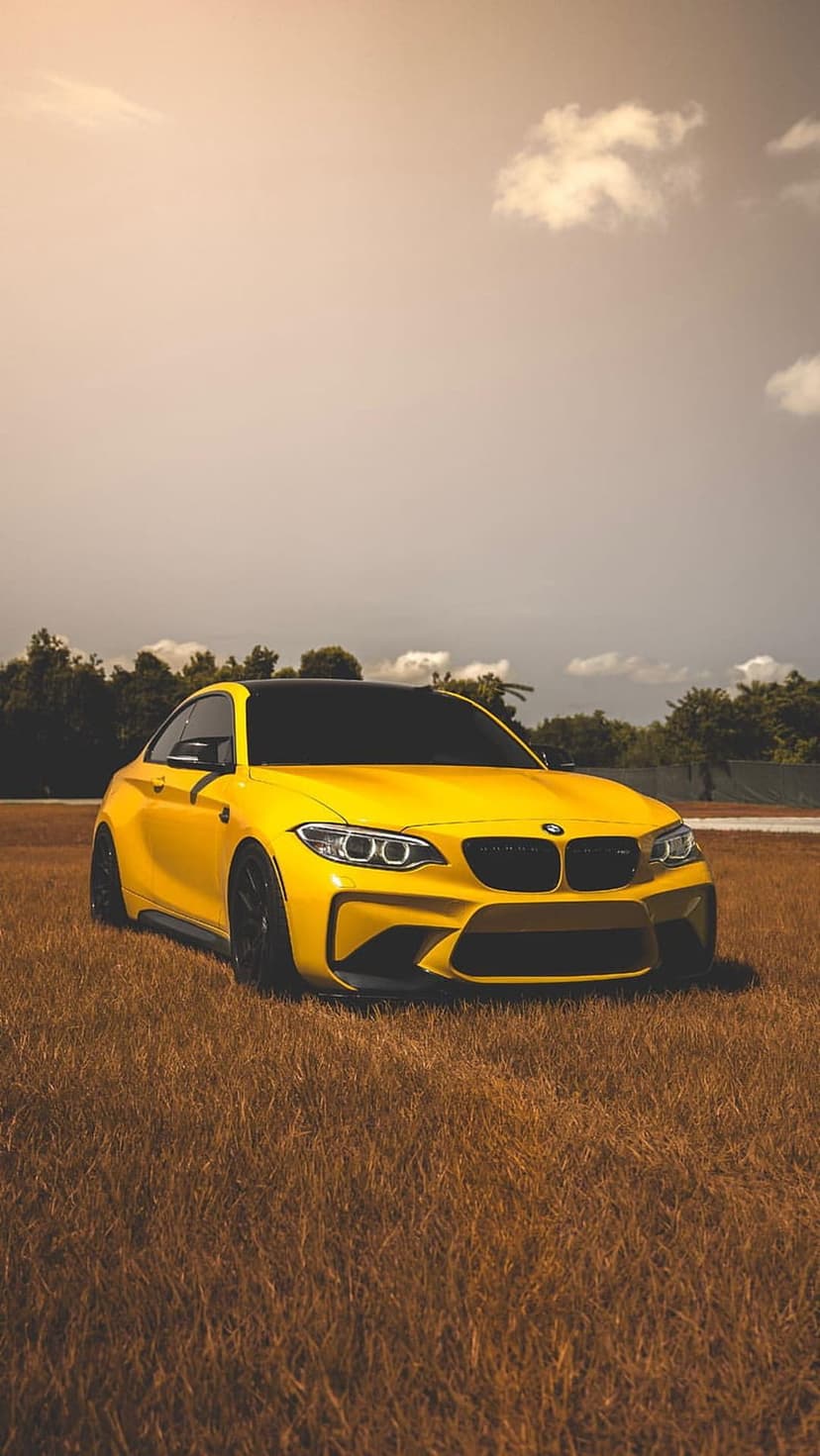 Yellow BMW M2 coupe parked in a field of dry golden grass with a treeline and cloudy sky in the background.
