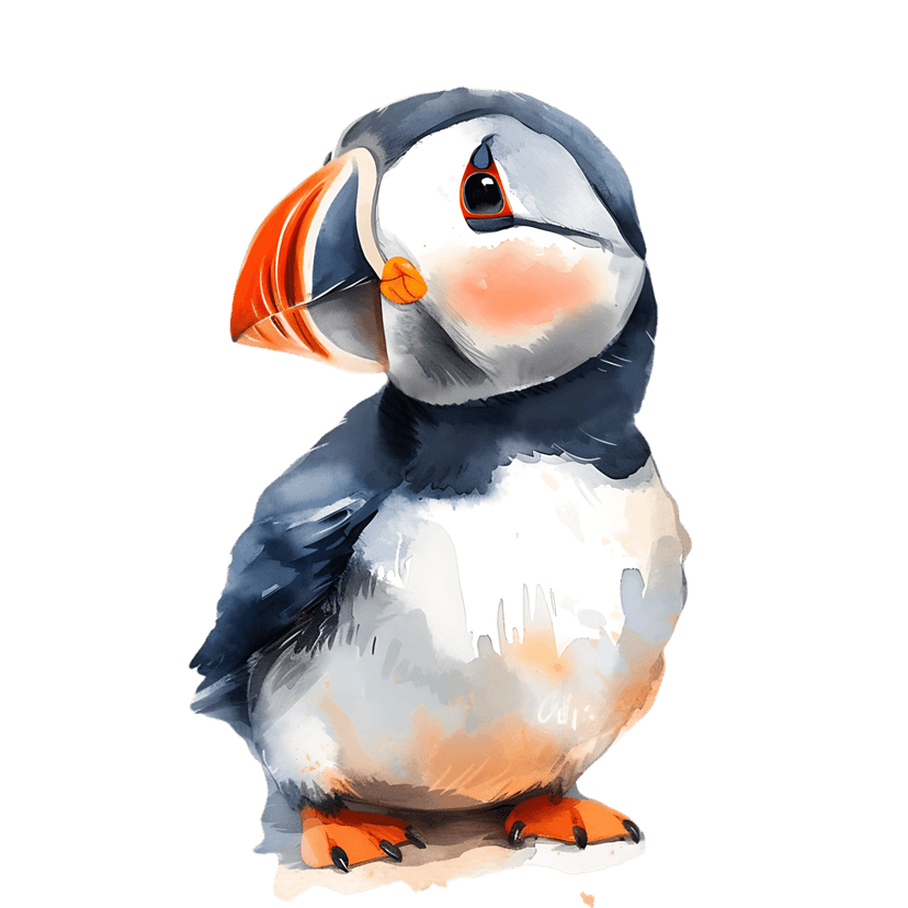Atlantic puffin watercolor painting with a colorful beak and soft feathers isolated on a black background.