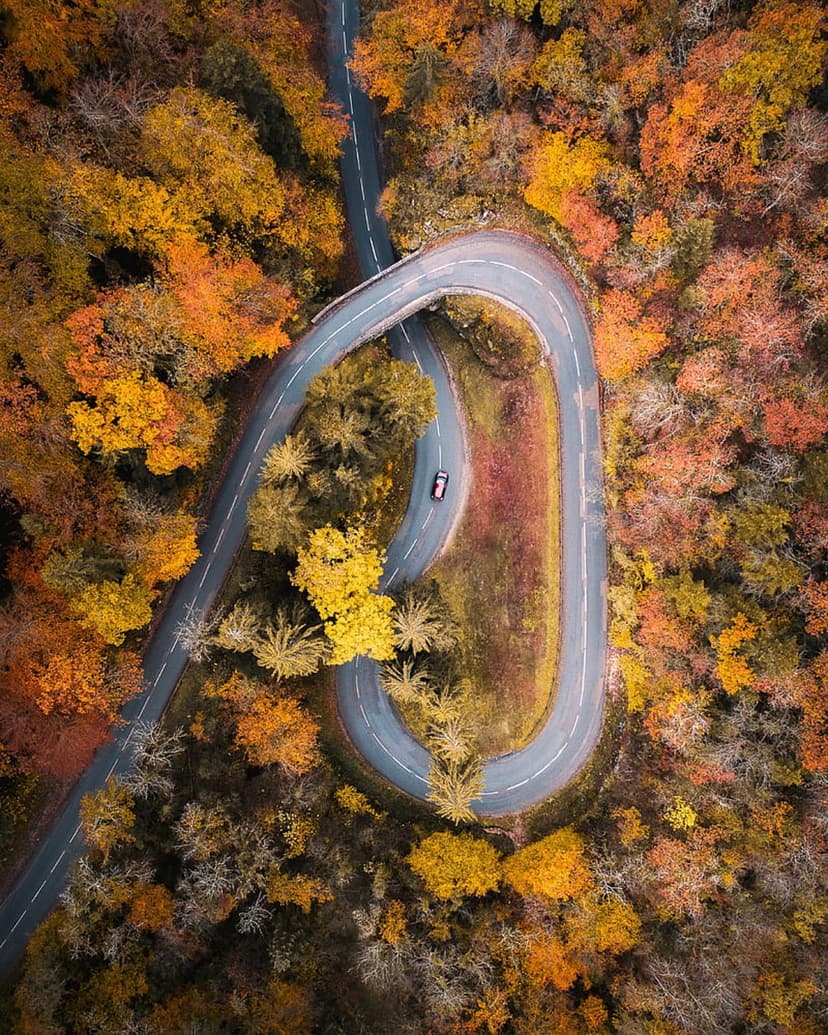 Winding hairpin turn road snakes through a vibrant forest of red and orange trees captured from an overhead view.