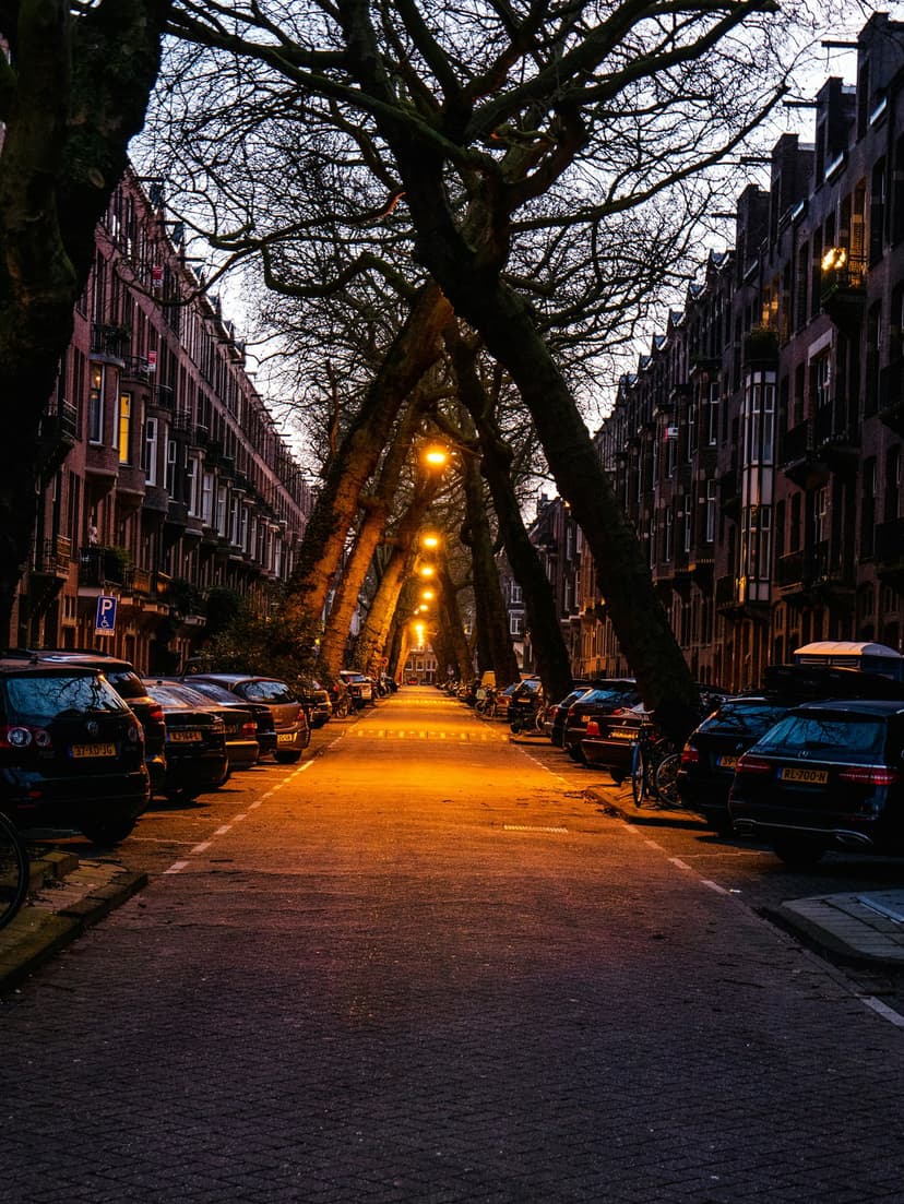 Bare tree branches arch over a cobblestone street lined with glowing golden lamps and parked cars at twilight.