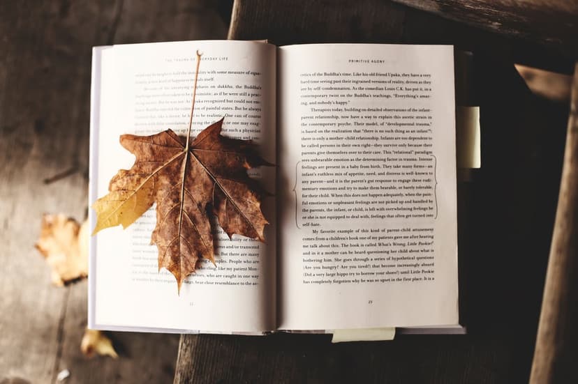 Brown maple leaf with visible veins resting on the open pages of an aged book with soft focus lighting.