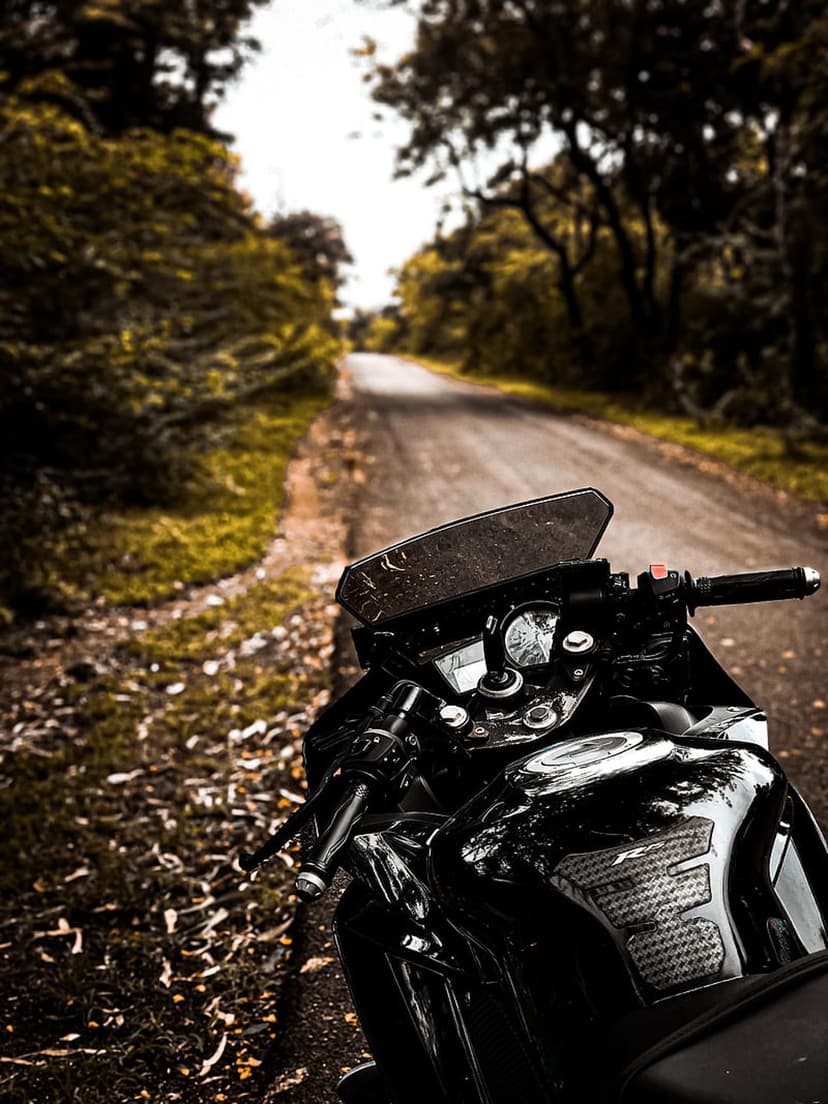 Black motorcycle fuel tank and handlebars parked on an asphalt road with green trees and fallen autumn leaves.