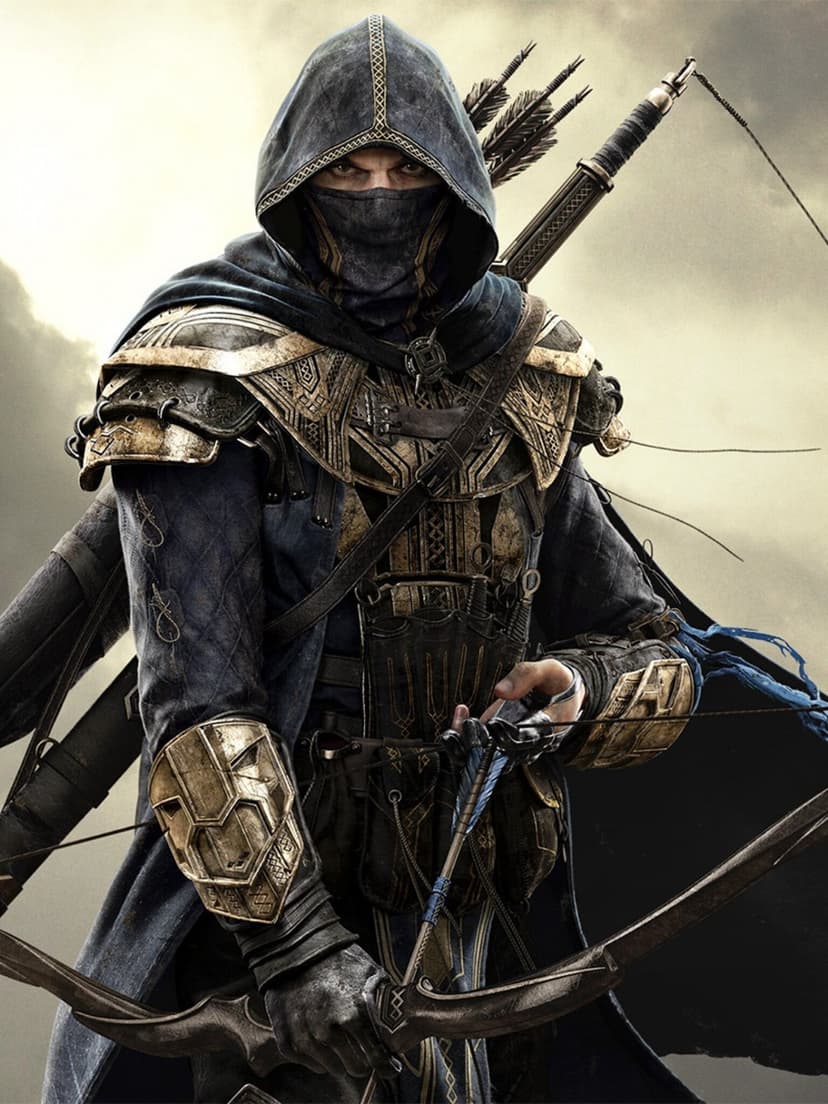 Hooded archer wearing ornate gold and blue plate armor holding a recurve bow against a misty background.