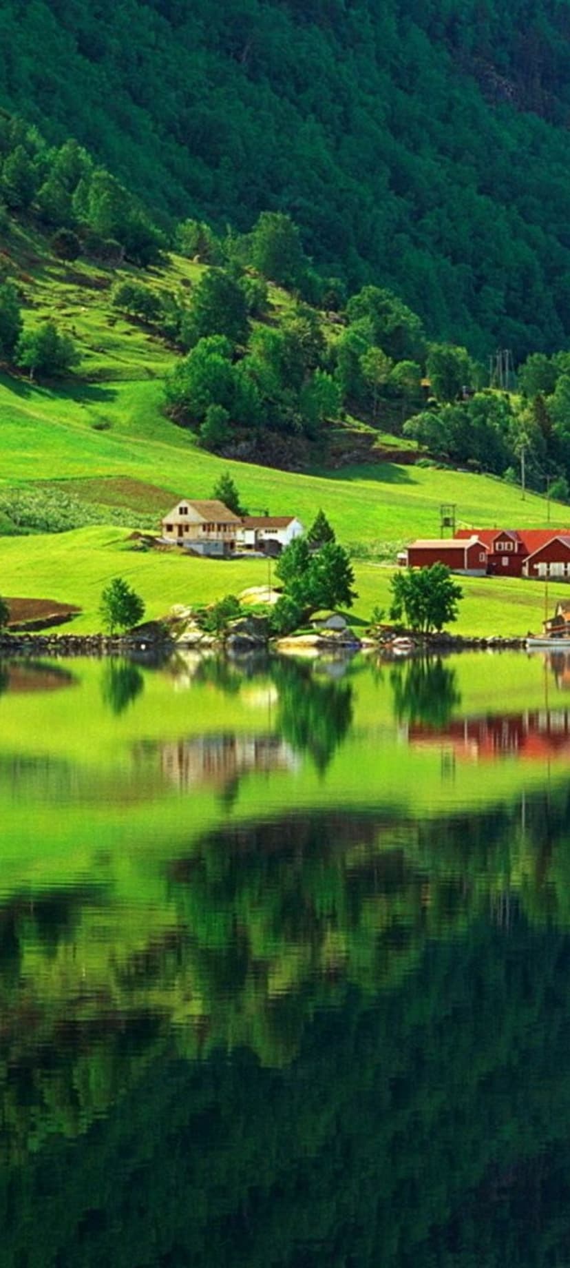 Cottages on a steep green hill reflect in the glassy surface of a mountain lake on a clear summer day.