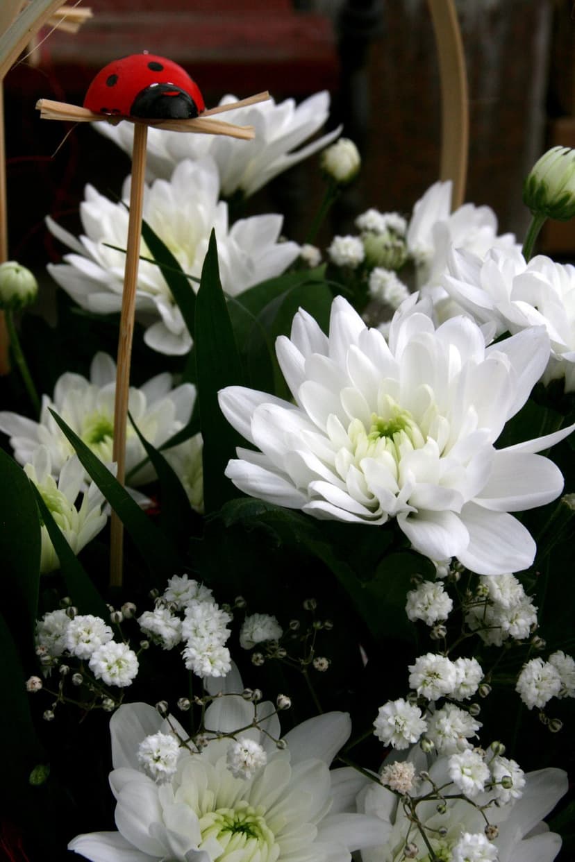 White chrysanthemum petals and a small ladybug decoration on a wooden stick in a soft-focus floral bouquet.