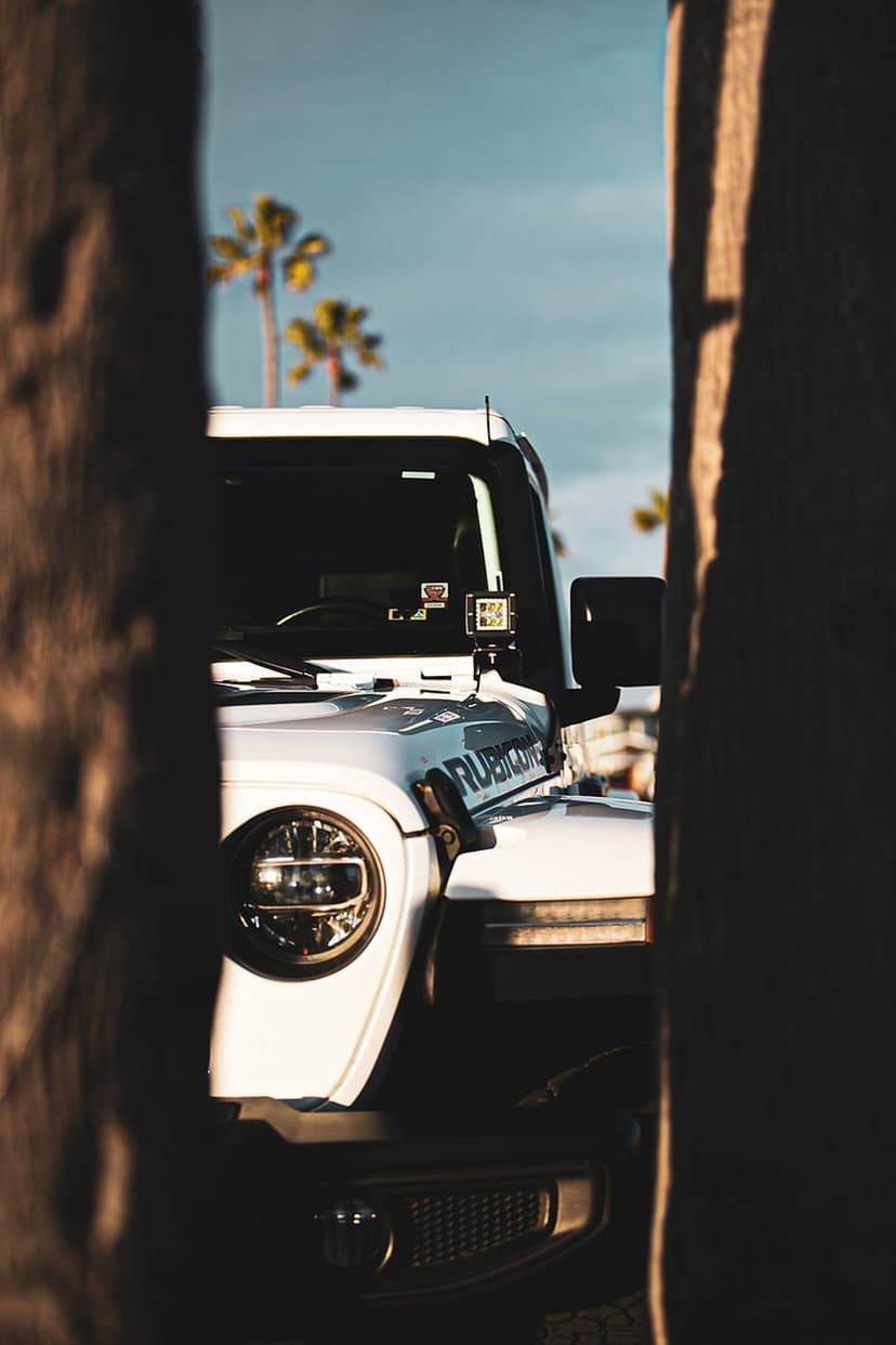 White Jeep Wrangler Rubicon with round headlight parked by tropical palm trees under a bright blue coastal sky.