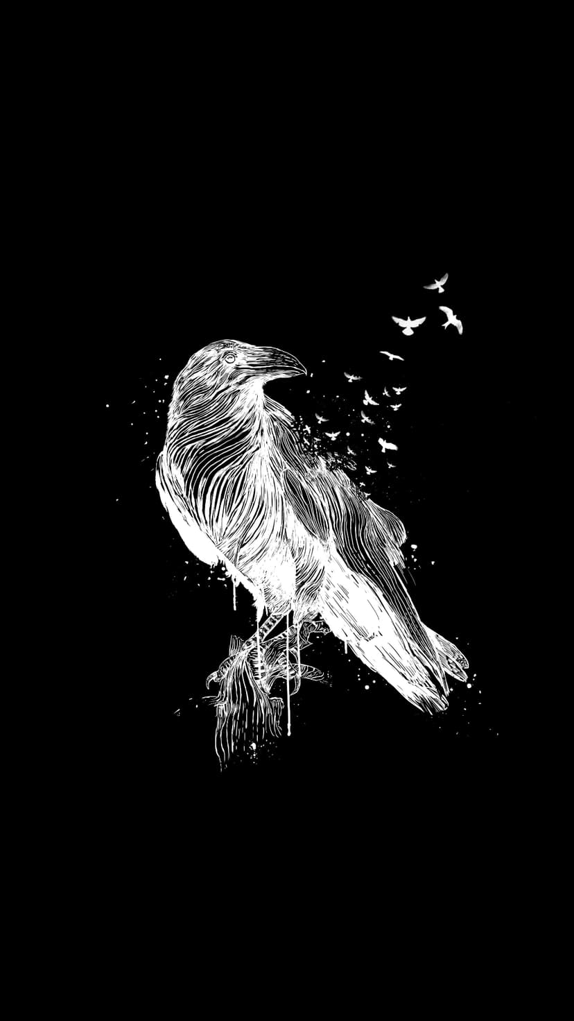 White raven with flowing feather textures and a flock of small birds in flight against a solid black background.