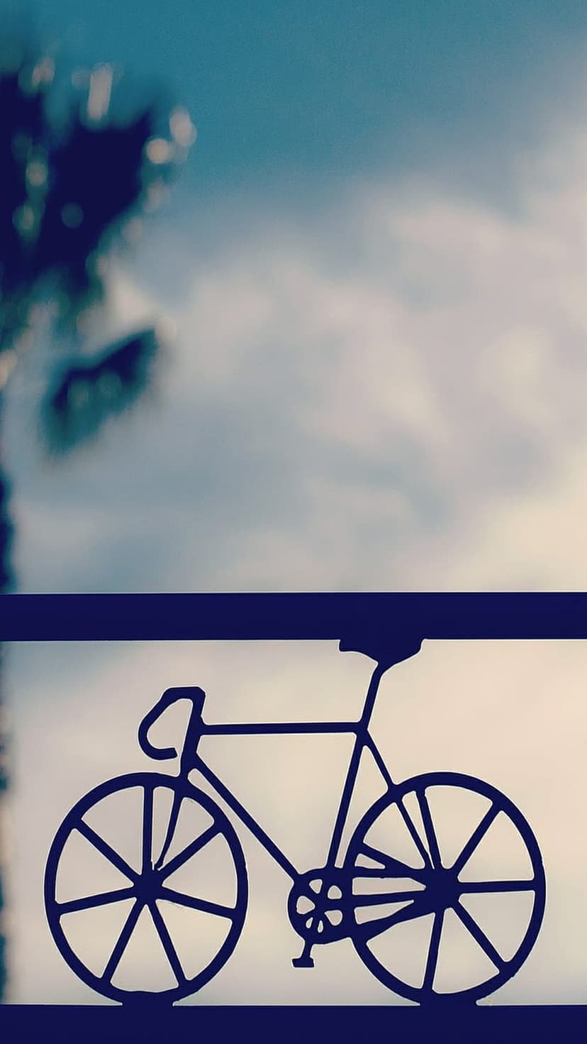 Bicycle silhouette with spoked wheels stands against a muted blue cloudy sky and subtle blurred green leaves.
