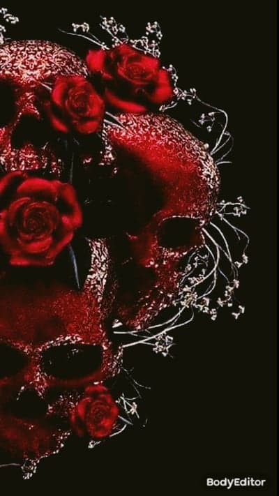 Gothic Red Skulls and Roses Dark Aesthetic
