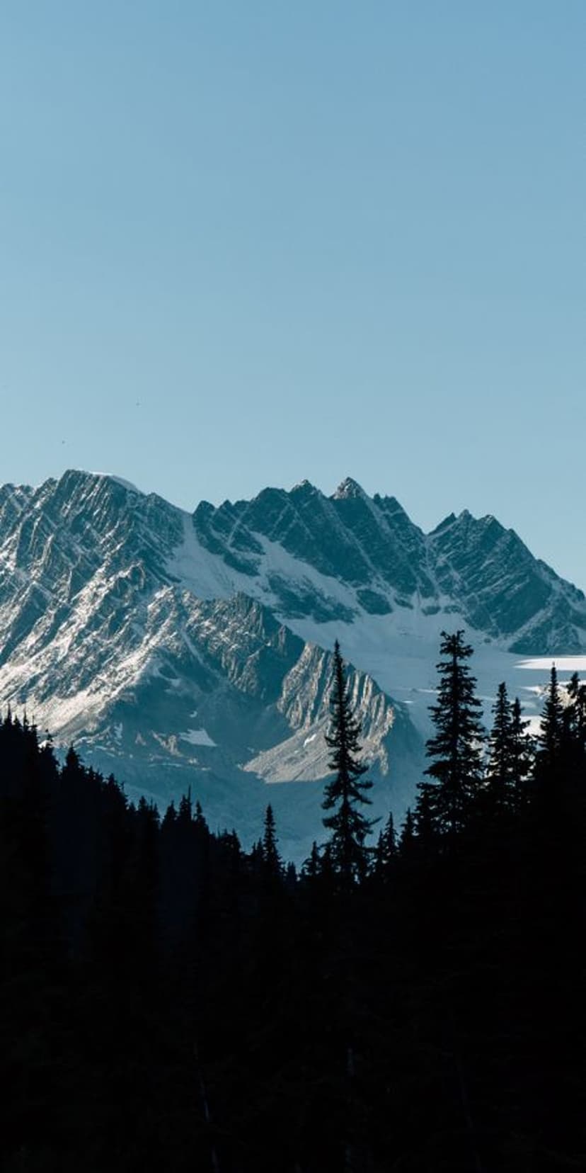 Snow-dusted jagged mountain peaks rise above a dark silhouette of evergreen trees under a clear blue sky.