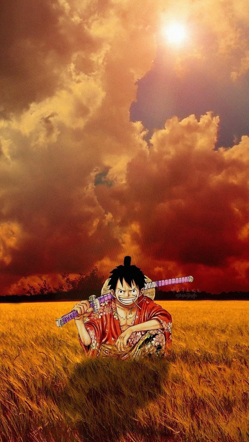 Monkey D. Luffy kneels in a golden wheat field with a sword over his shoulder under a fiery orange sunset sky.