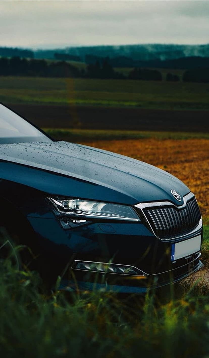 Skoda Superb front grille and headlights in a grassy field under a cloudy sky during a rural photoshoot.