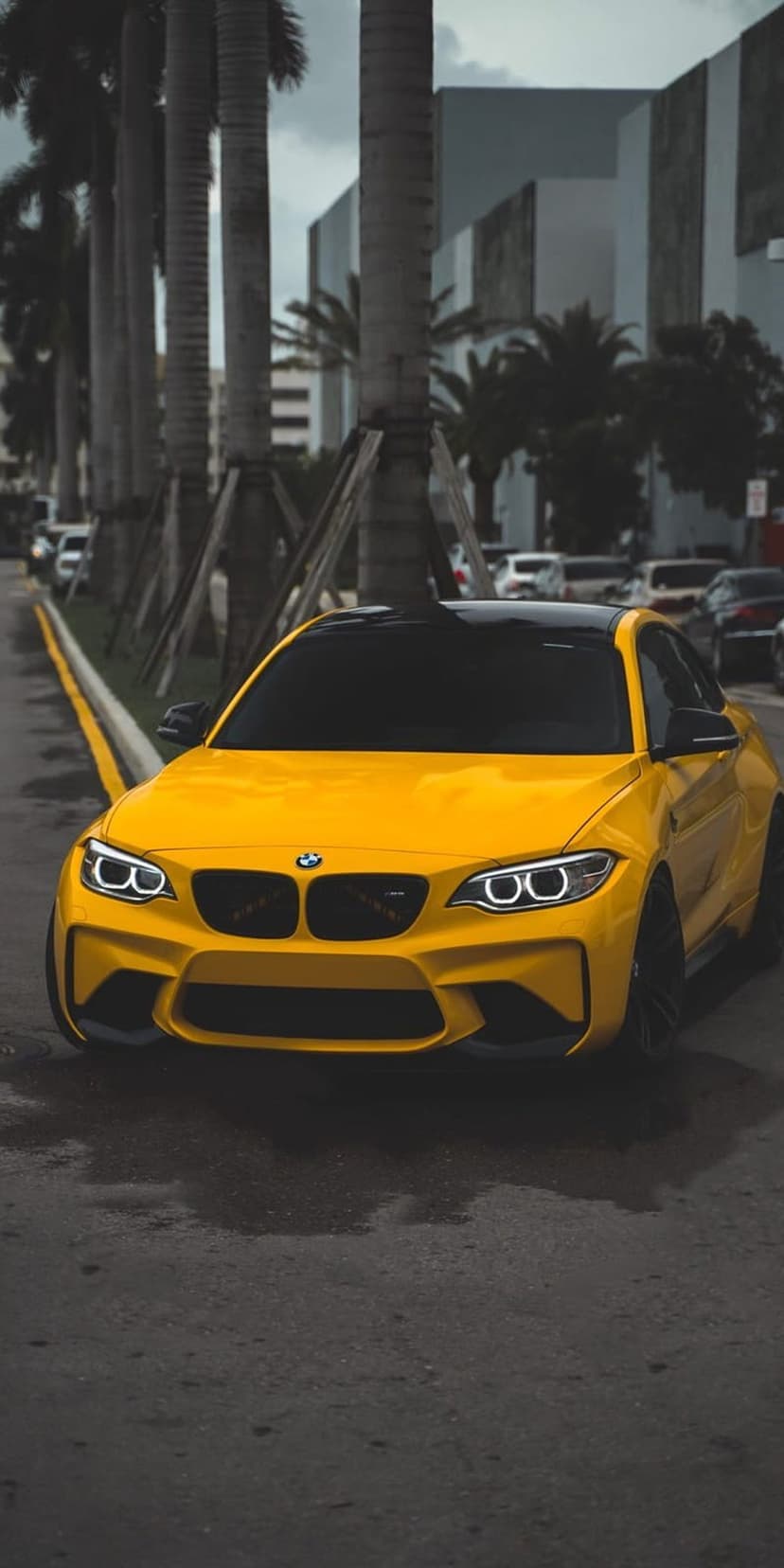 Yellow BMW M2 parked on wet asphalt under palm trees and a cloudy sky, showing its aggressive front bumper.