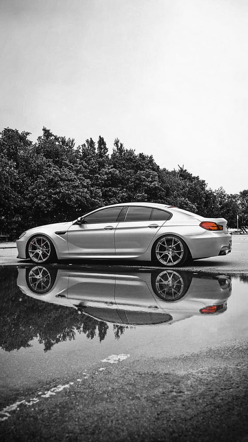 Silver BMW sedan profile and its reflection in a street puddle framed by trees in a black and white photograph.