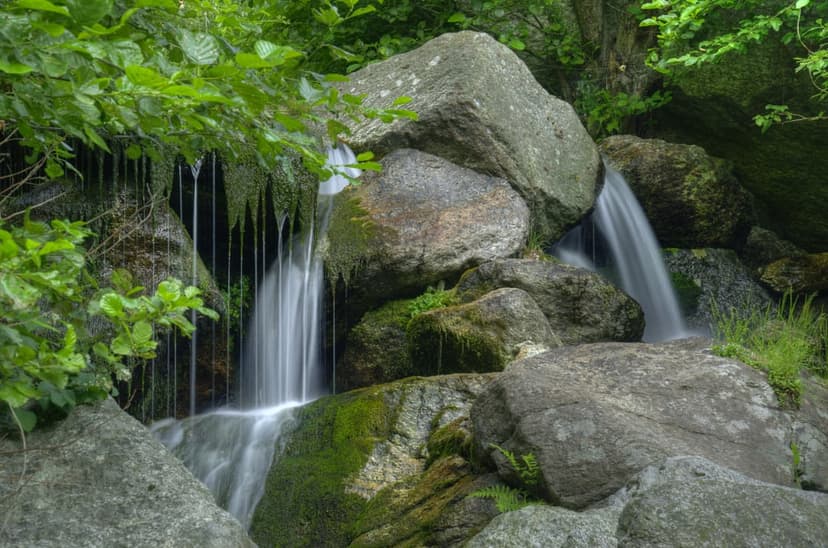 Waterfall rivulets cascading over large mossy boulders surrounded by dense hanging ferns in a lush green forest.