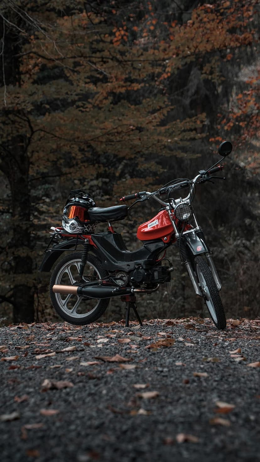 Red vintage moped with a black helmet on its rack parked on a gravel path through a golden autumn forest.
