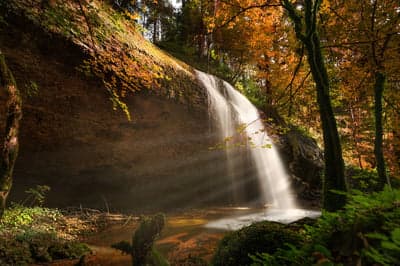 Sun-Drenched Autumn Waterfall Woods Mobile Wallpaper