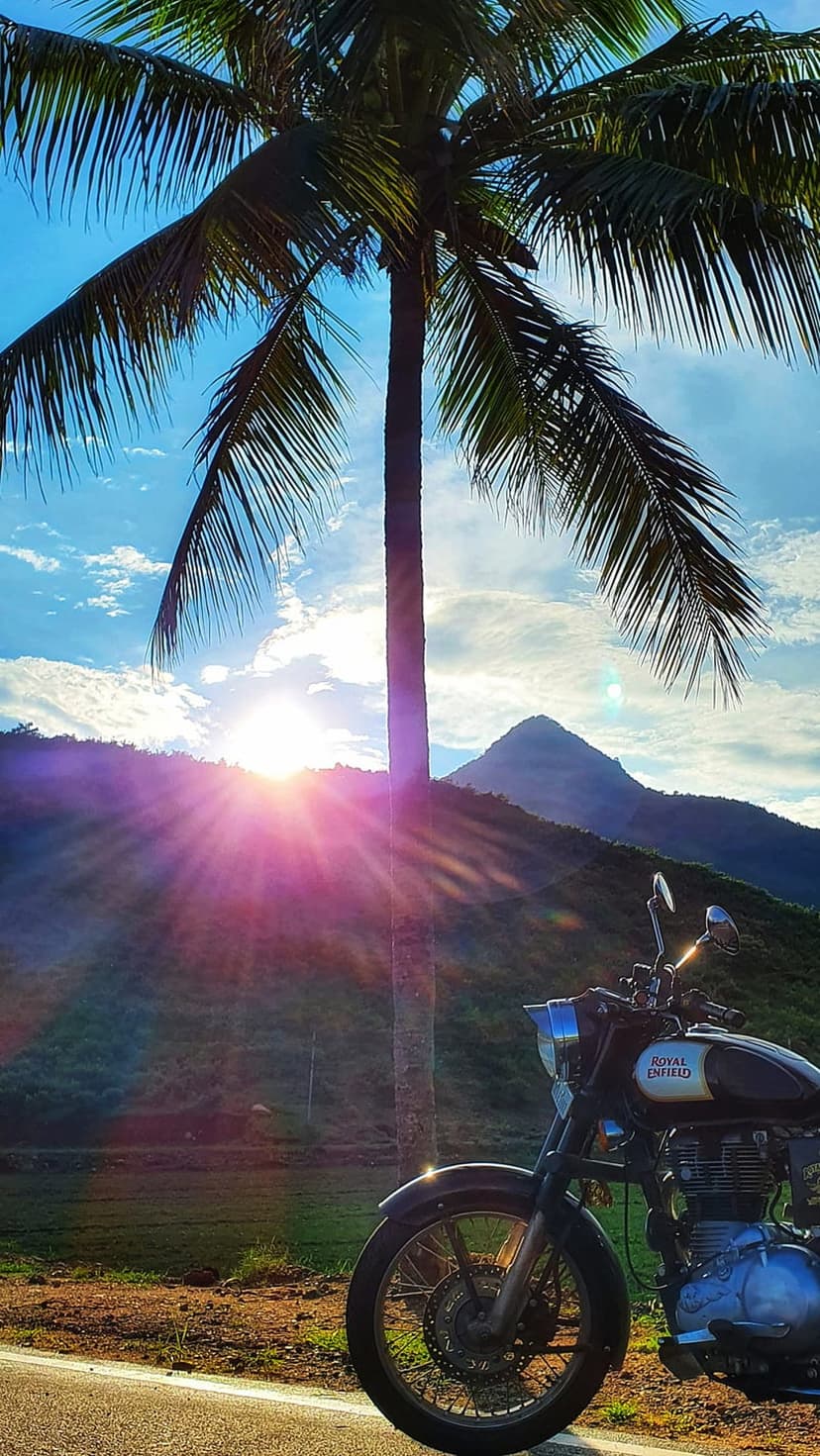 Royal Enfield motorcycle silhouetted under a palm tree against a sunburst sky and distant mountains at sunset.