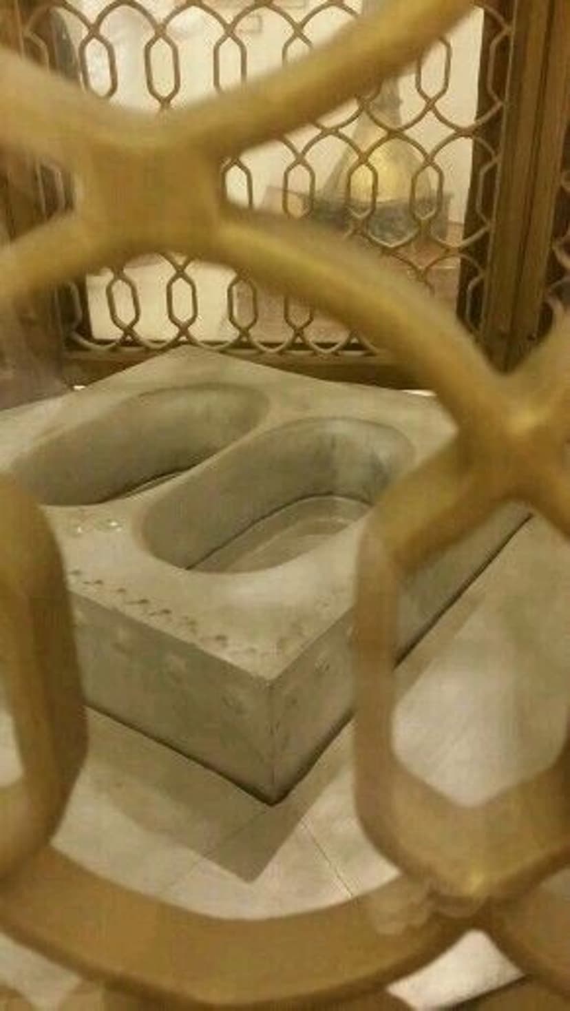 Two oval stone basins viewed through an intricate golden metal gate with historical architectural details.