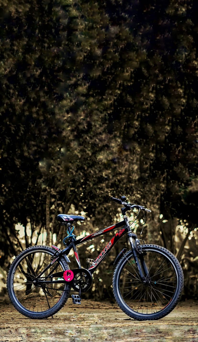 Red and black bicycle parked on a dirt trail surrounded by tall trees with sunlight filtering through branches.