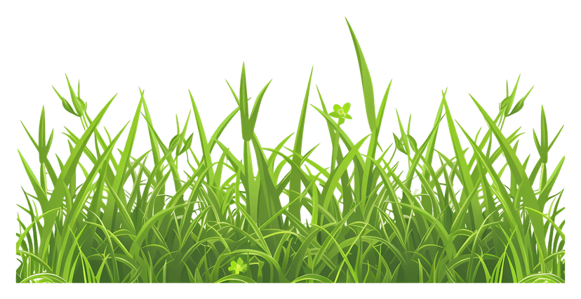 Green grass border featuring realistic blades of varying lengths and vibrant emerald hues against transparency.