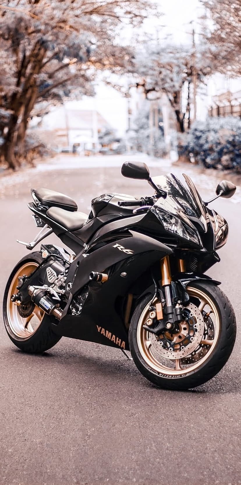 Black Yamaha R6 motorcycle with golden wheels parked on an asphalt road surrounded by green trees in daylight.