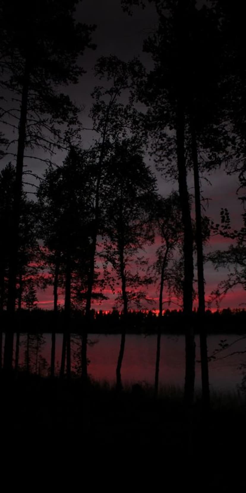 Tall tree silhouettes stand against a fiery red and orange sunset reflected in a calm lake during twilight.