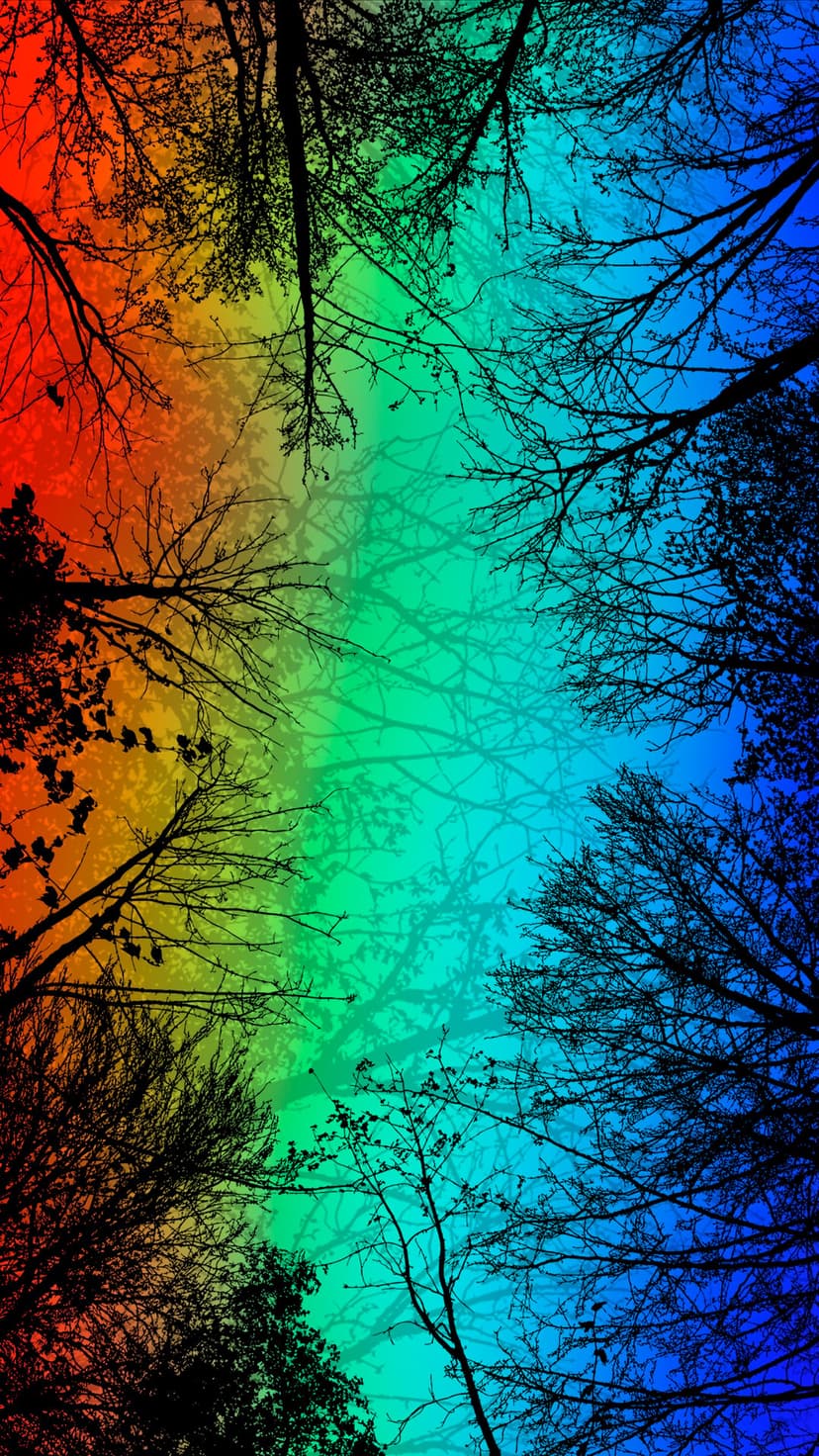 Dark tree silhouettes reach toward a vibrant rainbow gradient sky from a low-angle upward perspective.