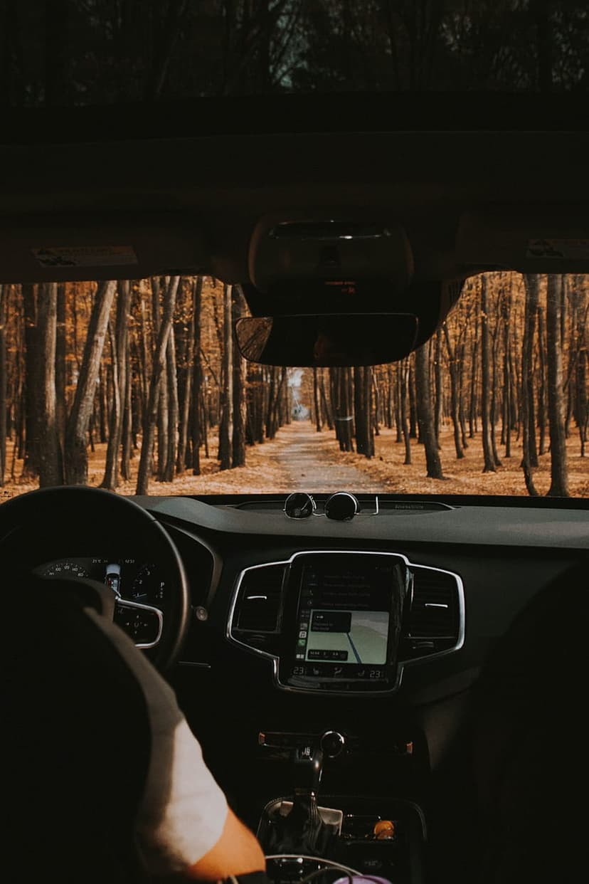 Car interior POV looking out at a winding forest road lined with vibrant orange and yellow autumn trees.