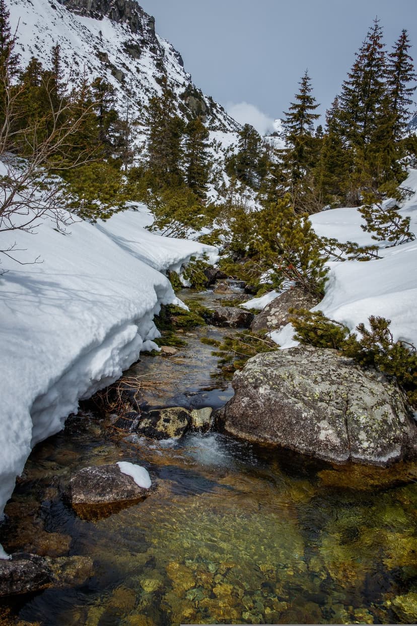 Clear mountain stream flows between snow-dusted rocks and evergreen trees under a cloudy, overcast winter sky.