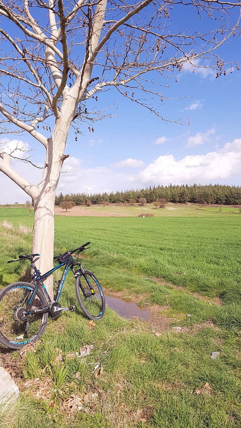 Blue mountain bike parked against a leafless tree next to a puddle with green fields and a blue sky behind it.