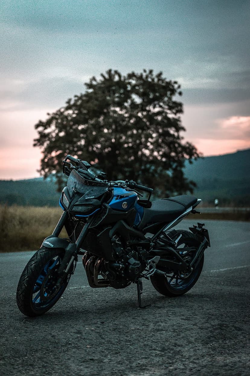 Blue Yamaha MT-09 motorcycle parked on a paved rural road with a silhouetted tree against a pink and gray dusk sky.