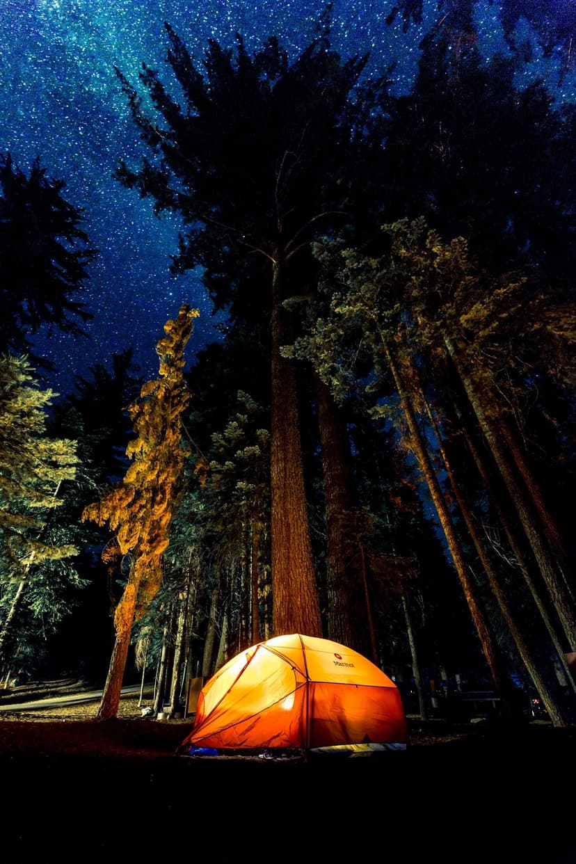 Orange glowing tent stands in a dark pine forest beneath a vibrant night sky filled with millions of stars.