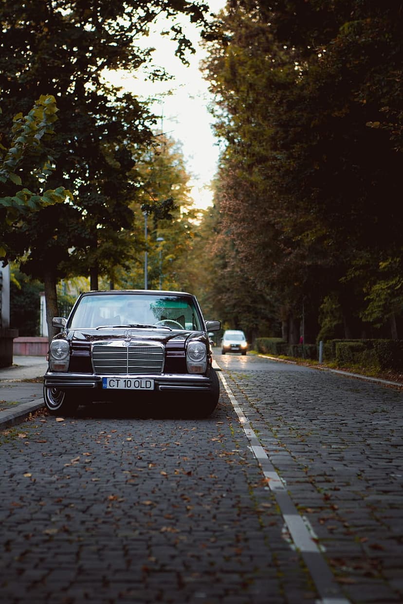 Black Mercedes-Benz sedan parked on a cobblestone street lined with orange autumn trees during golden hour.