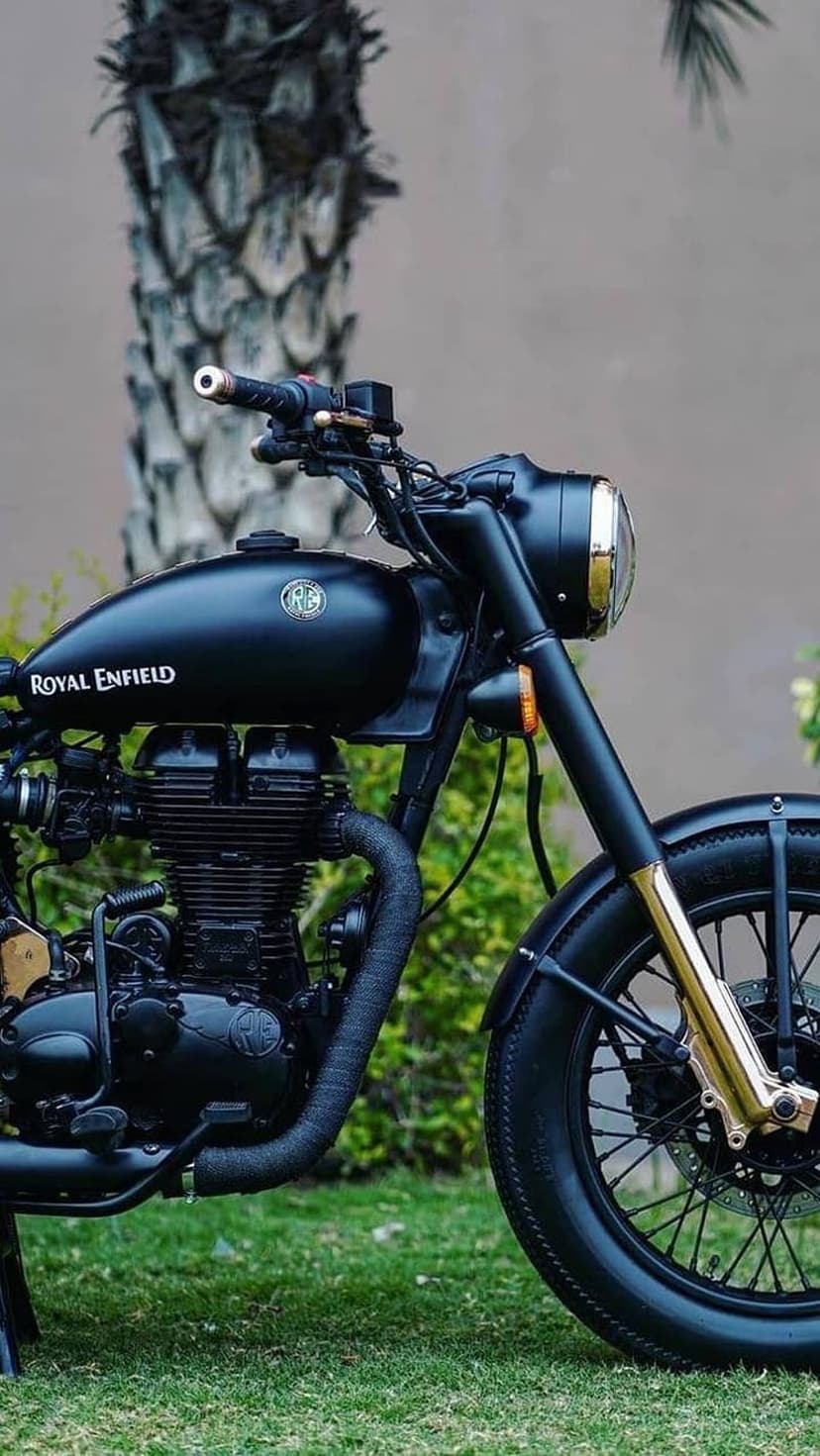 Black Royal Enfield motorcycle with gold accents on green grass beside a textured palm tree trunk in a park.