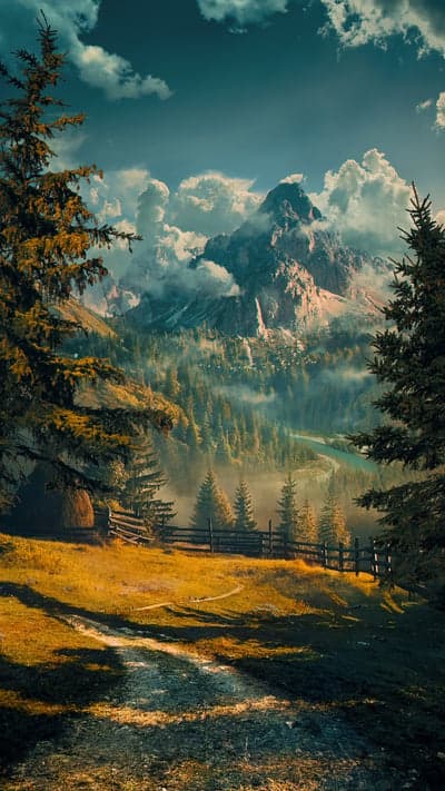 Misty Mountain Valley with Evergreen Forest and Golden Meadow