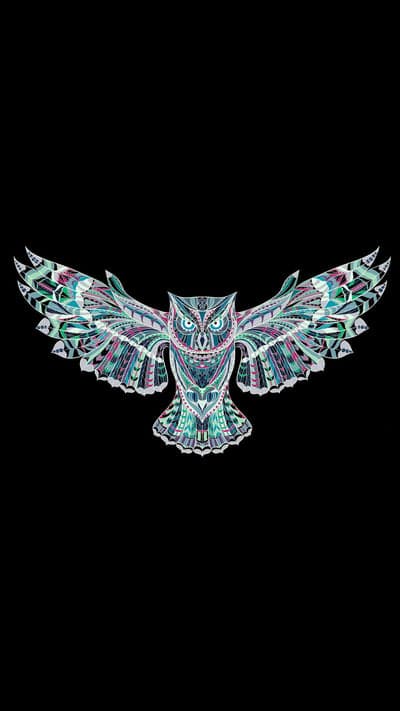 Ornate Owl with Spread Wings on Black Background