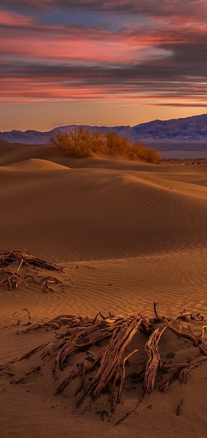 Undulating sand dunes and dry brush under a pink and orange sunset sky with distant hazy mountains.
