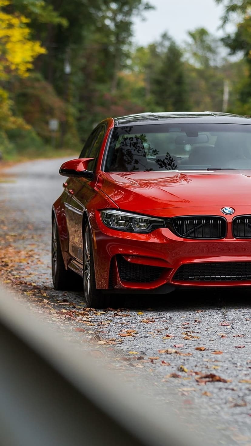 Red BMW M4 parked on a gravel road covered in orange autumn leaves with a blurred forest background.