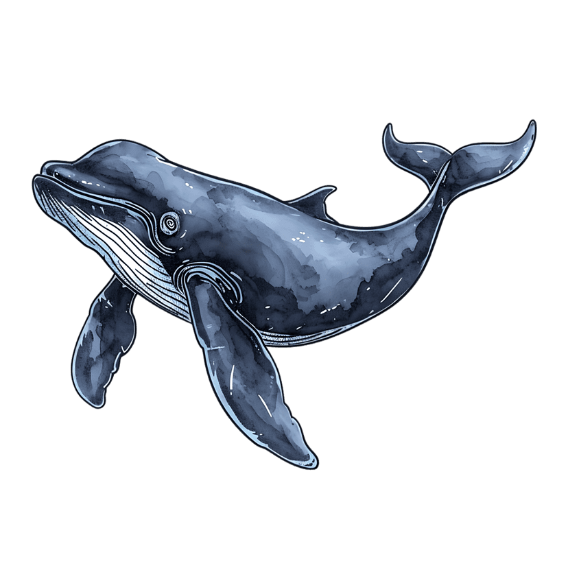 Blue whale watercolor illustration shows a swimming marine mammal with navy textures and white baleen details.