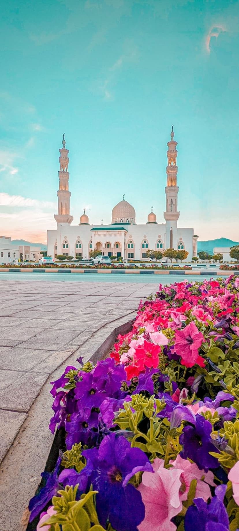White mosque with tall minarets and a large dome towers over vibrant pink and purple petunias in a sunny garden.