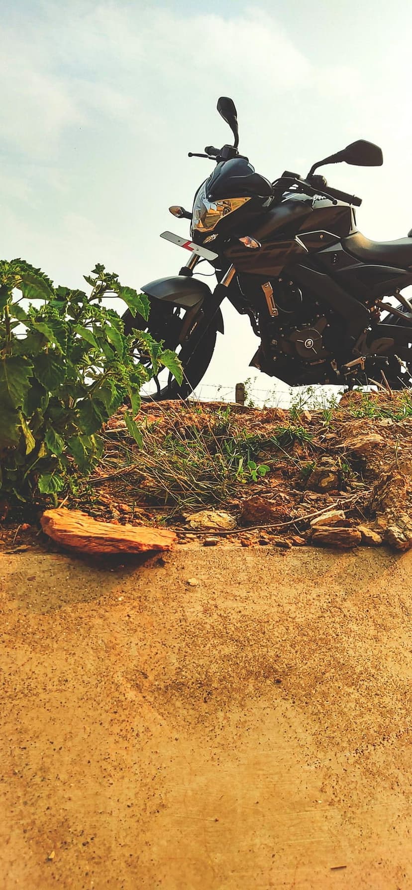 Black sport motorcycle parked on a rocky dirt embankment with green leaves in the foreground under a clear sky.