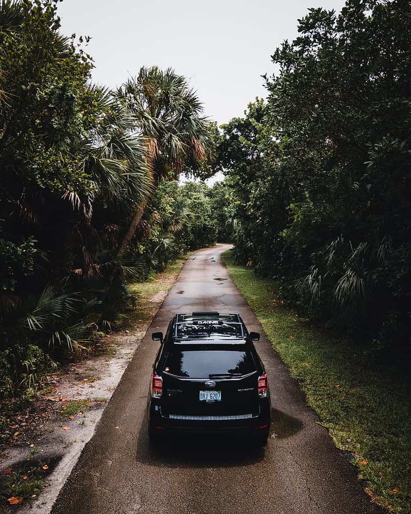 Black SUV driving on a winding asphalt road surrounded by dense tropical palm trees under a cloudy grey sky.
