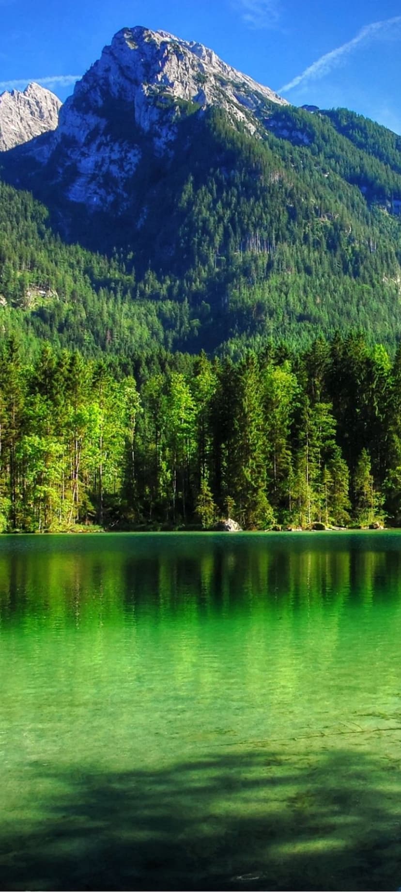 Emerald green lake reflecting a dense pine forest and jagged mountain peaks under a clear blue summer sky.