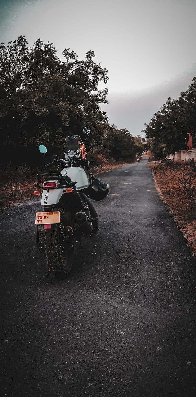 Royal Enfield Himalayan motorcycle parked on a tree-lined asphalt road under a cloudy, dramatic gray sky.