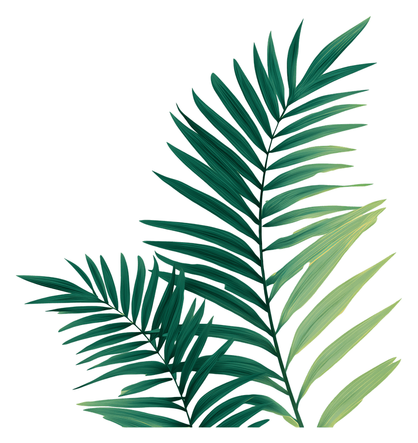 Black palm leaf silhouette displays sharp botanical fronds against a transparent background in minimalist style.